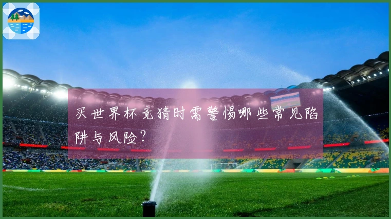买世界杯竞猜时需警惕哪些常见陷阱与风险？