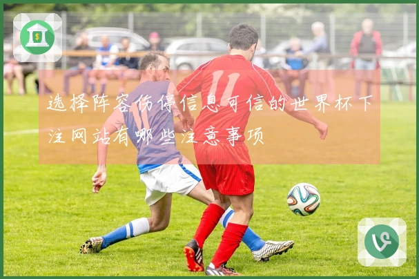 选择阵容伤停信息可信的世界杯下注网站有哪些注意事项