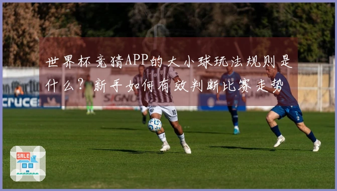 NG体育体育资讯文章图片