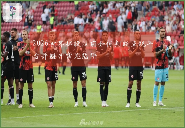 2026世界杯投注前如何判断正规平台并避开常见陷阱
