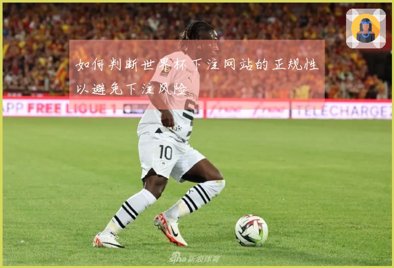 NG体育体育资讯文章图片